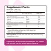 Create Creatine + Electrolytes Mix - Creatine Monohydrate Stick Packs,