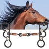 Horse Chew Black Stainless Steel Training Bit Copper Wire Wrapped