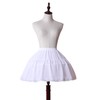 YULUOSHA Women Girls Crinoline Petticoat 2 Hoops Skirt Chiffon Ball