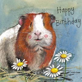 Alex Clark Art Happy Birthday Gordon the Guinea Pig Card