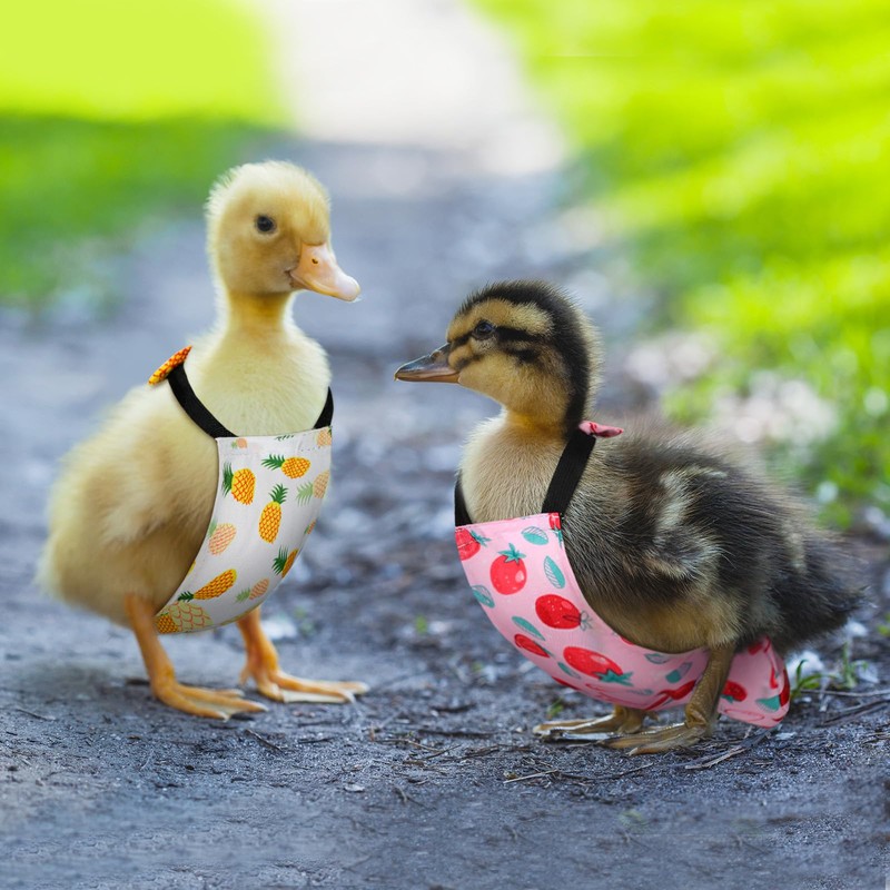 DoubleFill 6 Pcs Washable Chicken Diapers Reusable Pet Diaper with