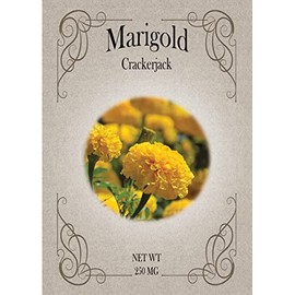 Set of Marigold CrackerJack Seed Packets - Create Your Dream Garden - Bulk Flower Seeds (50)