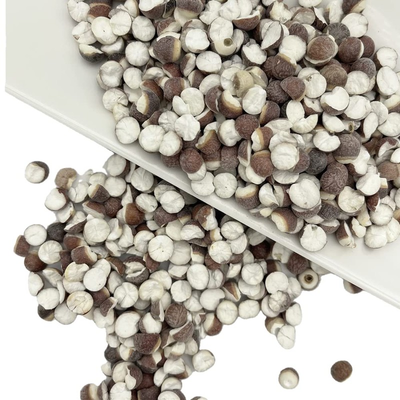 Greenlike Qian Shi Euryale Ferox Salisb Dried Fox Nuts 芡实