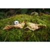 Top Collection Miniature Fairy Garden and Terrarium Statue, Sleeping Fairy