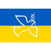 Ukrainian Ukrainian Flag 5ft x 3ft Ukrainian Flag