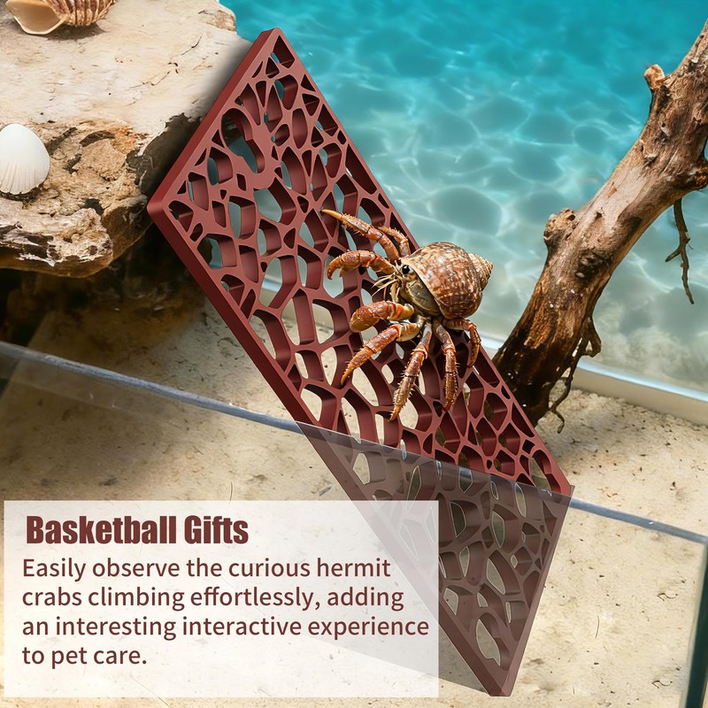 Hermit Crab Ladder Climbing Toy | Hermit Crab Accessories |