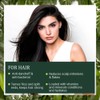 Indus Valley Bio Organic Natural Henna Hair Color For Grey