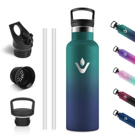 Vikastar Stainless Steel Drinking Bottle, Thermos Flask, 500 ml, BPA-Free Drinking Bottle, Thermos Bottle with Straw, Drinking Bottle for School, Sports, Bike, Camping, Dark Green & Dark Blue