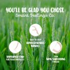 Biodegradable Dental Floss Picks 100 Count 2 Packs | Eco-Friendly