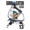 Soul Eater, Vol. 13: Volume 13