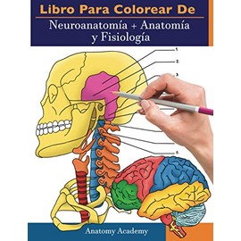 Libro para colorear de Neuroanatomía + Anatomía y Fisiología: 2-en-1 compilación | Libro de colores de autoevaluación para estudiar muy detallado para Estudiar y Relajarse (Spanish Edition)