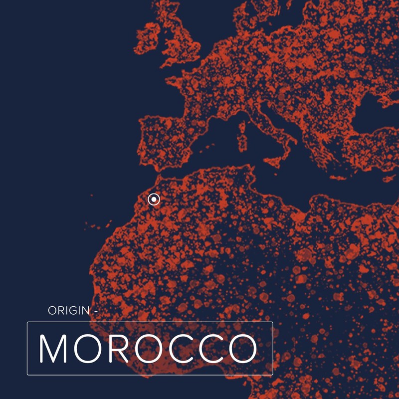 Naissance Argan Oil 500 ml, 100% Pure