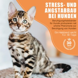 Cat Calming Collar