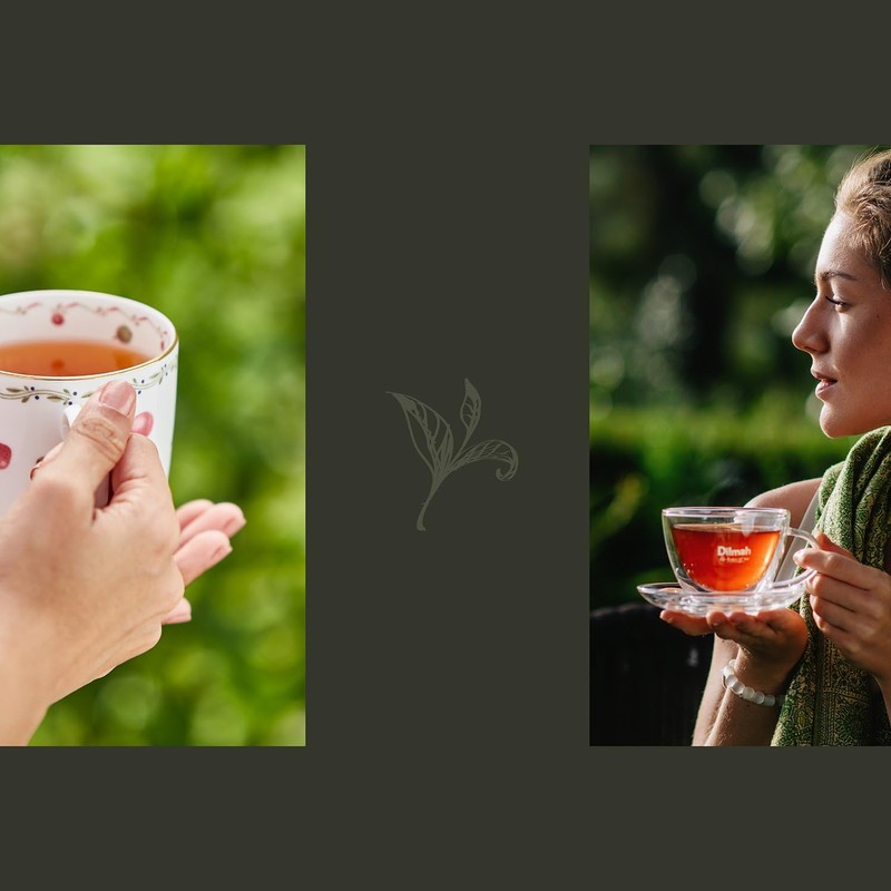 Dilmah Extra Strength Ceylon Tea 100 Tea Bags - 240g(8.47oz)