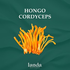 LANDA Extracto Liquido de Hongo Cordyceps 30 ml Extracto líquido de Hongo Cordyceps Militaris 100% Orgánico Alta Concentración 10:1 Aumenta Energía Soporte Respiratorio Propiedades Antiinflamatorias