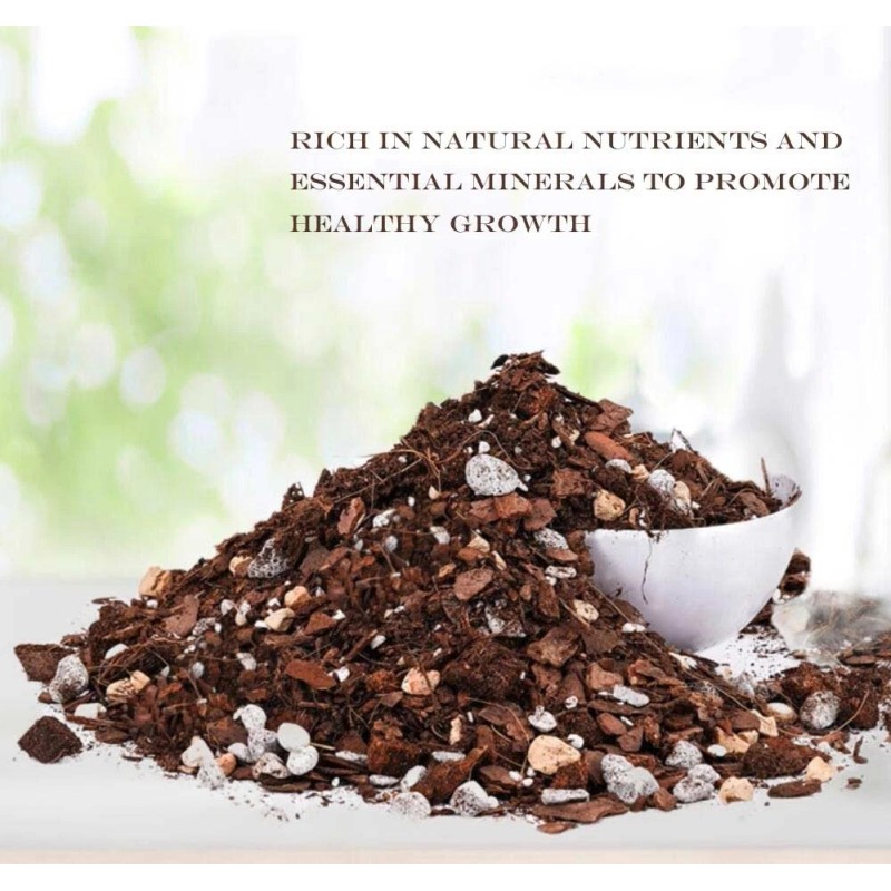 Soil Sunrise Special Nutrient Soil for Clivia Potting Soil Mix,