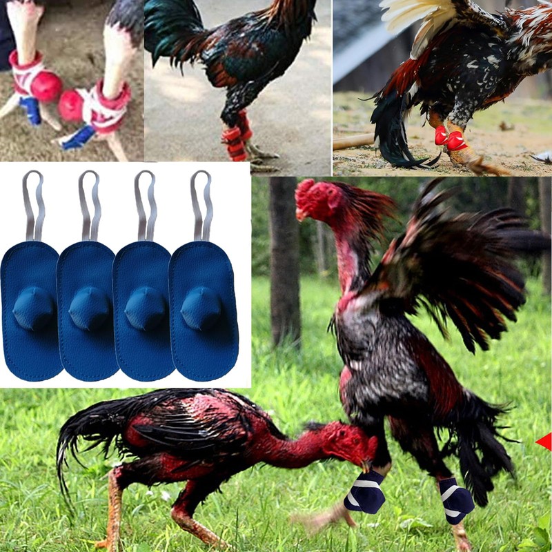 Arilaca Gamefowl Rooster Supplies, Chickens Supplies Poultry Care Supplies Blue