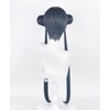 Cosplay Wig, Net Included, Kisaki, Wind, Chinese, Heat Resistant, Ash