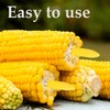 24 Pack Stainless Steel Corn Holders - Corn on the
