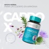 Biosuple Cardo Mariano Alcachofa Complejo Herbal Extractos Naturales Suplemento Alimenticio