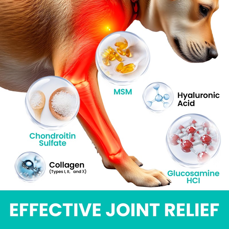 Collagen Drops for Dogs – 4oz Liquid Supplement for Joint