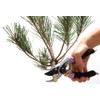 Mac Professional Super High Power Pruning Shears (Exclusive Case)
