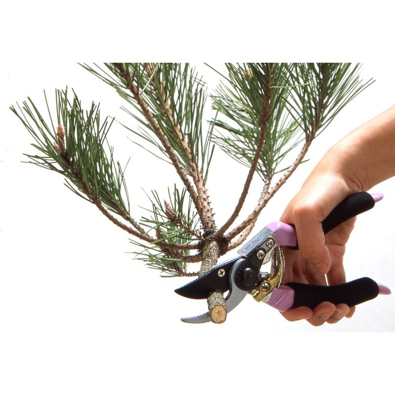 Mac Professional Super High Power Pruning Shears (Exclusive Case)