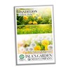 Dandelion Seeds for Planting, 1,000 Seeds Per Packet, Isla's Garden