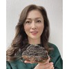 EPORASHE Delmi Light (1 Box) Birch Chaga