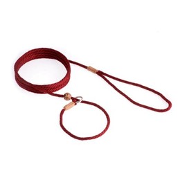 Alvalley Nylon Dog Training Leash with Stopper - Adjustable Nylon Rope Comes with Braided Leather at Ends - Tagua Bead Stopper Slip Lead - Suitable for Walking, and Training