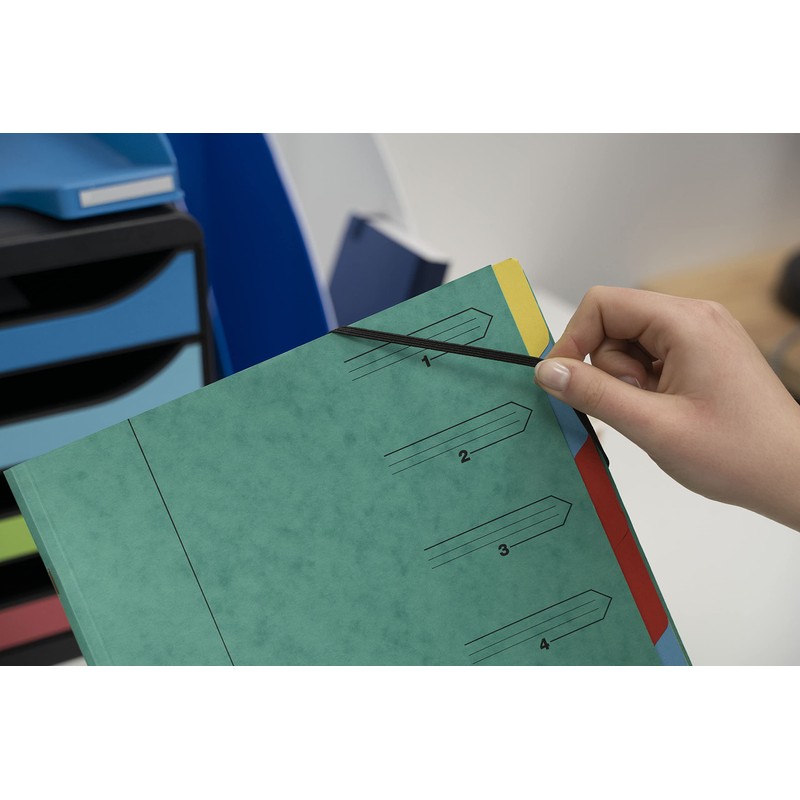 Exacompta 54129E Premium Stapled Folder Made of Extra Strong Colorspan
