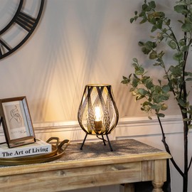 Northlight Cage-Style Iron Table Lamp - 12" - Black and Gold