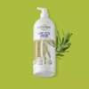 FRESCA PIE (El Original de StanHome) (Romero, Jumbo 930 ml)