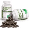 Bronson Rhodiola Rosea 1000Mg Supplement - Adaptogenic Herb for Brain,