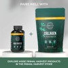 Primal Immun Proactive Daily Supplement, Gluten Free, Vegetarian