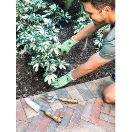 If You Care Fsc Certified Latex Medium Gloves, 1 Count