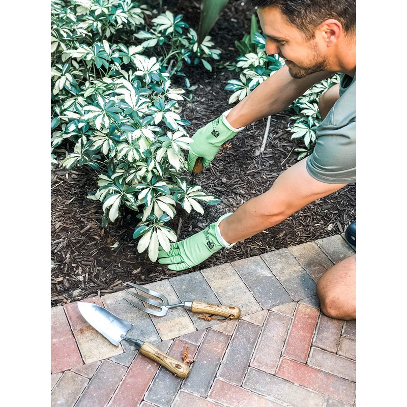 If You Care Fsc Certified Latex Medium Gloves, 1 Count