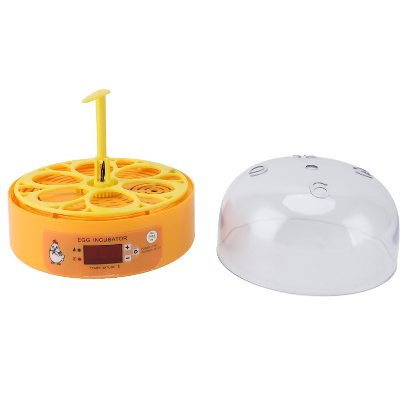 6 Egg Incubator Automatic Egg Turner with Temperature Control Poultry