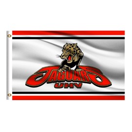 College Flag Houston Victoria Outside 3x5 Compatible with Jaguars,UHV Double Sided University Banner