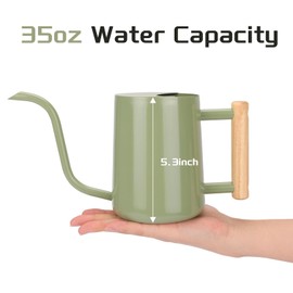 CEWOR Sage Green 35 Oz Metal Watering Can with Long Spout for Indoor & Outdoor Plants