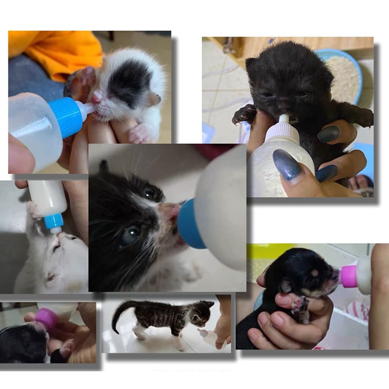 Pet Bottle Kit, Squeeze Liquid Replaceable Silicone Teat for Newborn