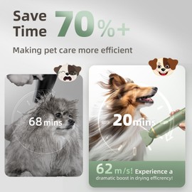 buenkee Dog Blow Dryer for Pet Grooming Handheld Lightweight Dog Cat Hair Dryer 3 Speeds 4 Temp, Portable 3HP High Velocity Pet Blower Quiet Dryer for Travel Campaign Home, with 3 Nozzles, Green