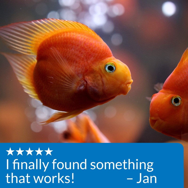 API pH Down Freshwater Aquarium Water pH Reducing Solution