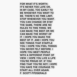 For What It'S Worth - F. Scott Fitzgerald Quote Bumper Sticker Vinyl Decal 5"