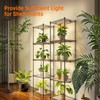 Bstrip Standing Grow Light for Indoor Plants, Vertical Grow Light