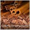 Friendly Soap - Warm & Comforting Cinnamon (95g), Plant-Based, Cruelty-Free,