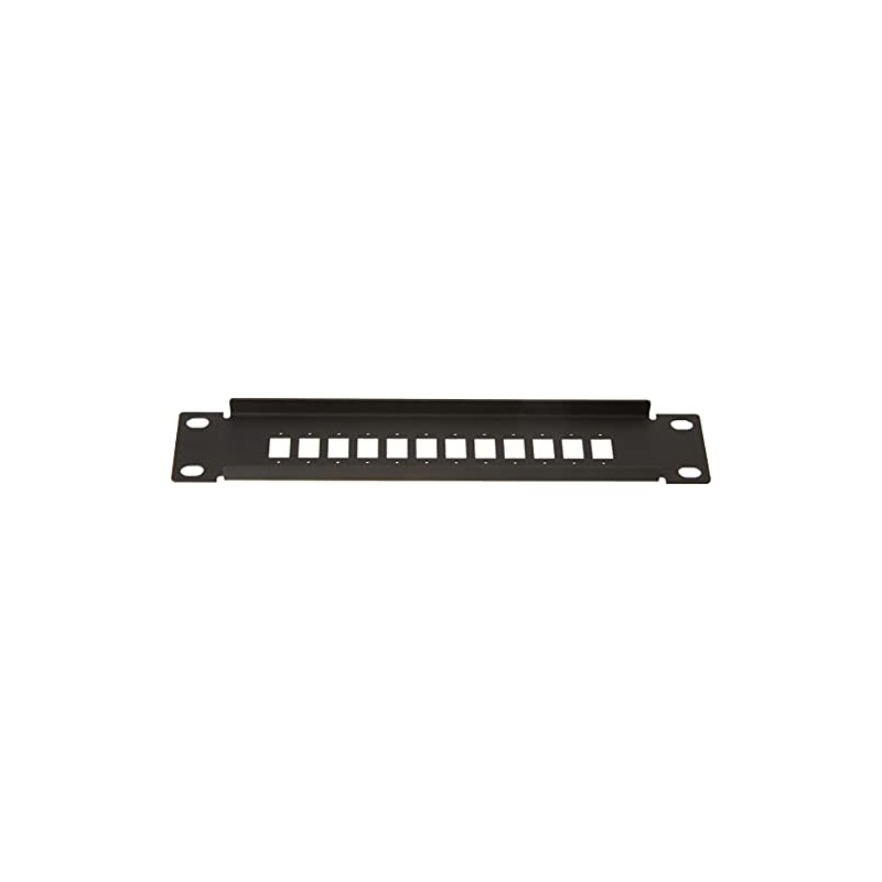 Delock 10 Inch Fibre Optic Patch Panel 12 Port for
