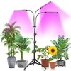 Plant Grow Light with Stand Adjustable 15-47 Inch,Tri-Head Floor Lamp Plant Light with Red Blue LED Bulbs for Indoor Plants,Dimmable 3 Light Modes with Auto On/Off Timer