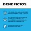 Péptidos Colágeno Hidrolizado Puro Polvo Collagen Peptides Tipo Iii Pastoreo