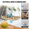 3 Pcs Bird Toys, Parrot Toys, Bird Ladder, Swing, Perch,